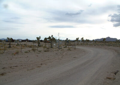 A dirt road curves through a sparse desert landscape with scattered Joshua trees, a weather station, and distant mountains under a cloudy sky.