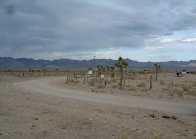 A dirt road curves through a desert landscape with scattered Joshua trees, distant mountains, and cloudy sky in the background.