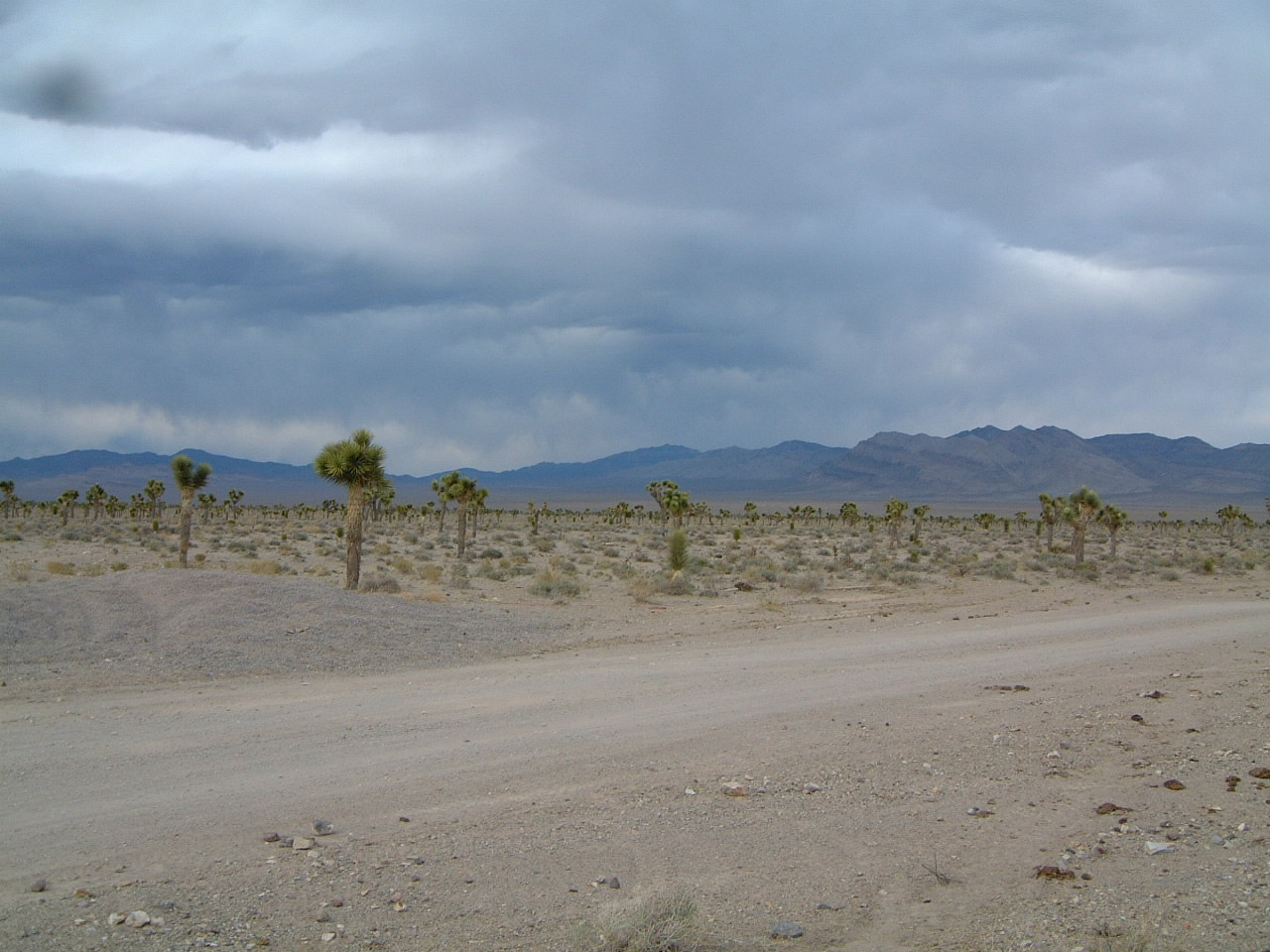 Anchor Brand Ranch Nevada — Looking from the station (North)