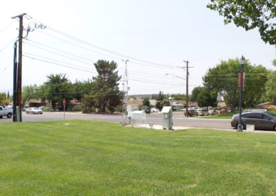 A grassy lawn in the foreground, with a street, cars, utility boxes, power lines, and trees in the background on a clear day.