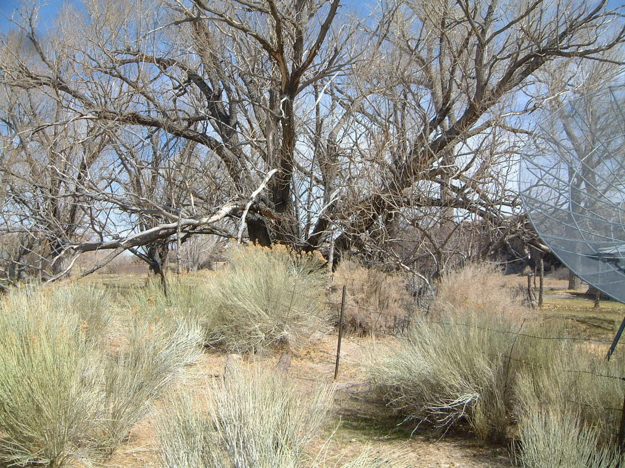 Stone Cabin Nevada — Looking from the station (North)